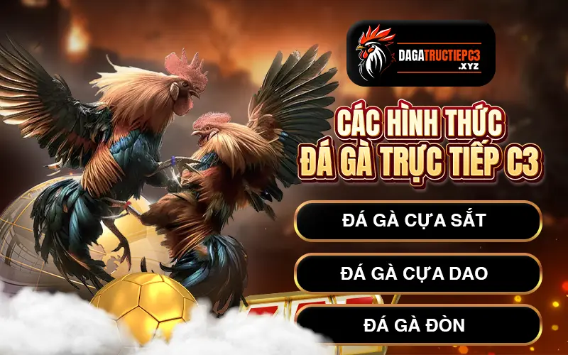 cac-hinh-thuc-da-ga-truc-tiep-c3