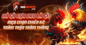 da-ga-cua-dao-la-gi