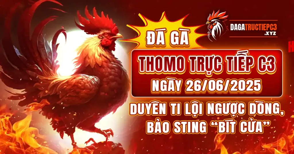 da-ga-thomo-truc-tiep-c3
