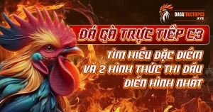 da-ga-truc-tiep-c3