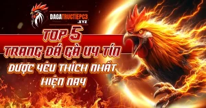 nha-cai-da-ga-uy-tin