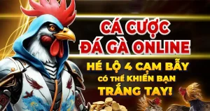 ca-cuoc-da-ga-online