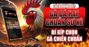 cach-nhan-biet-ga-da-hay-xem-vay