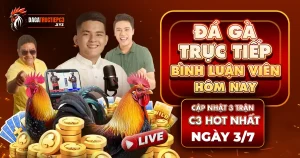 da-ga-truc-tiep-blv