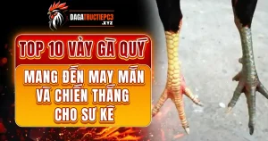 top-10-vay-ga-quy