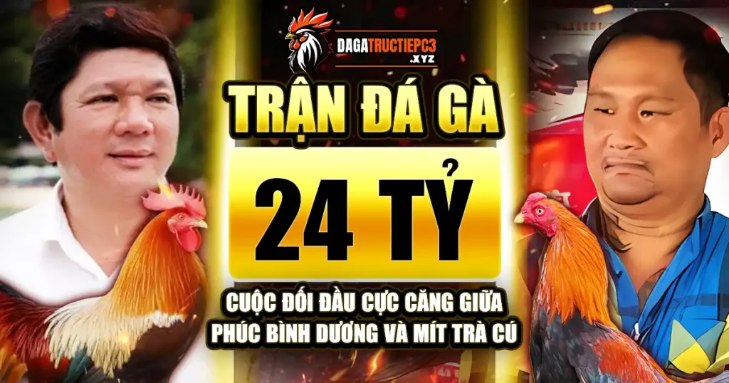 tran-da-ga-24-ty