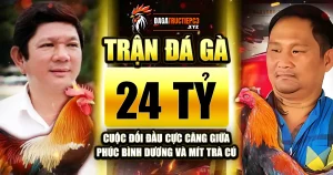 tran-da-ga-24-ty