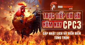 truc-tiep-da-ga-hom-nay-cpc3