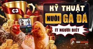 ky-thuat-nuoi-ga-da