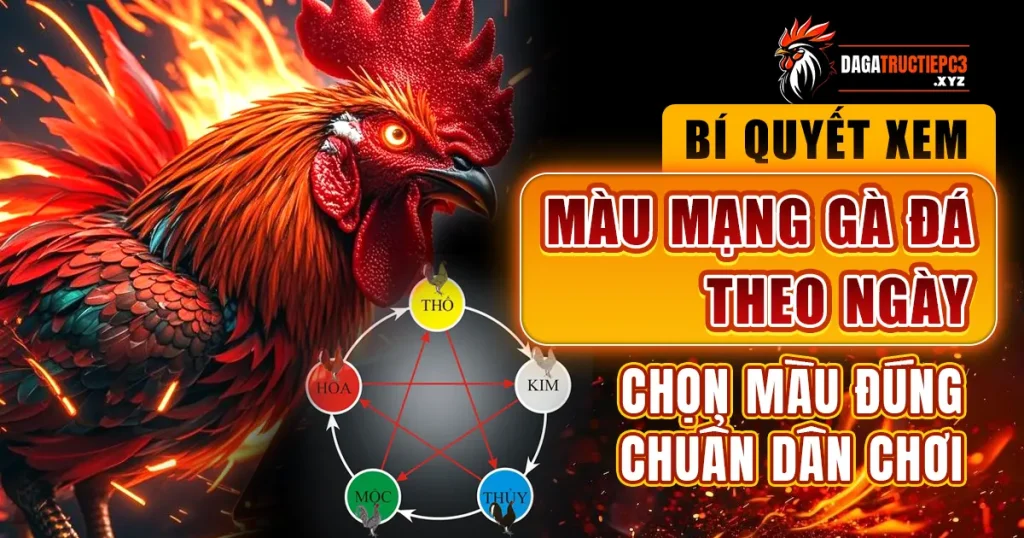 mau-mang-da-ga-theo-ngay