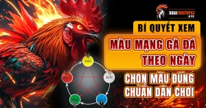 mau-mang-da-ga-theo-ngay