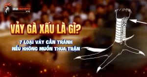 vay-ga-xau