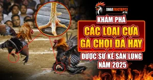 Các loại cựa gà