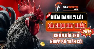 lối gà chọi hay nhất