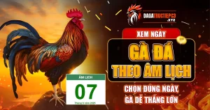 Xem Ngày Gà Đá Theo Âm Lịch